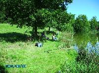 Bilder/thumbnails/DamenundFamilienfischen/Familienfischen (6).JPG